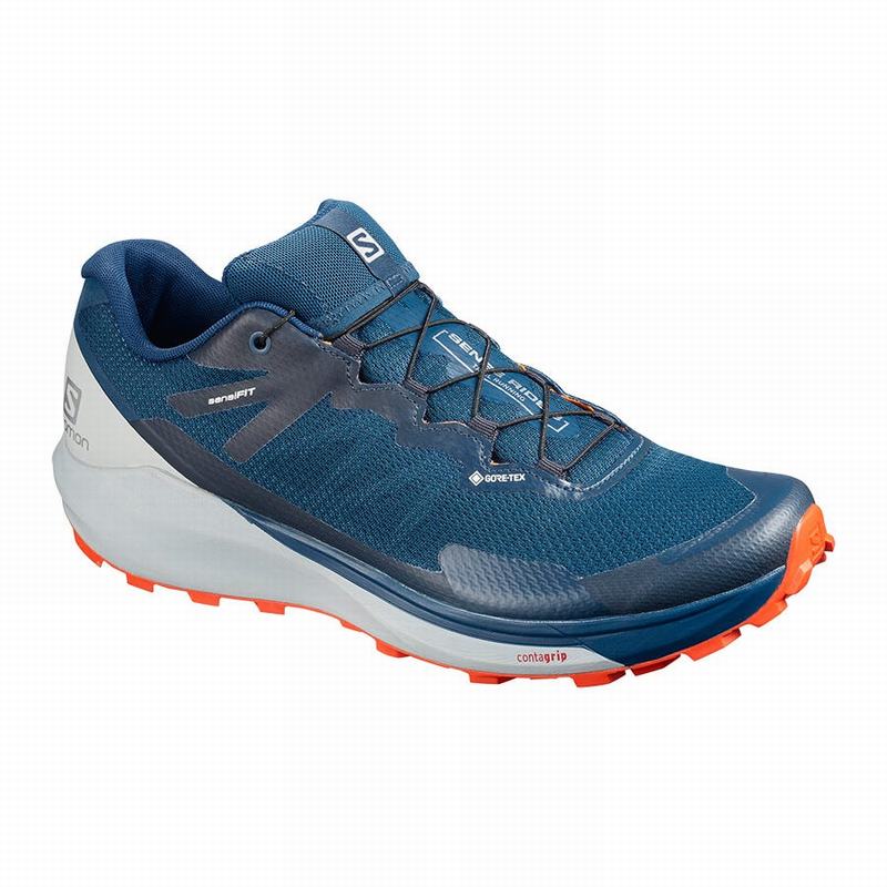 Zapatillas De Running Salomon Hombre Azul Marino - Salomon Argentina SENSE RIDE 3 GTX INVIS. FIT ,27